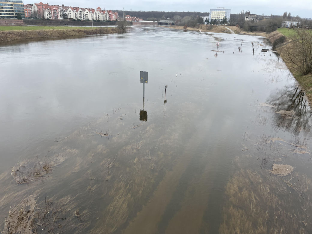 Poziom Warty w Poznaniu najwyższy od lat. Warta i Cybina zalewają pobliski teren