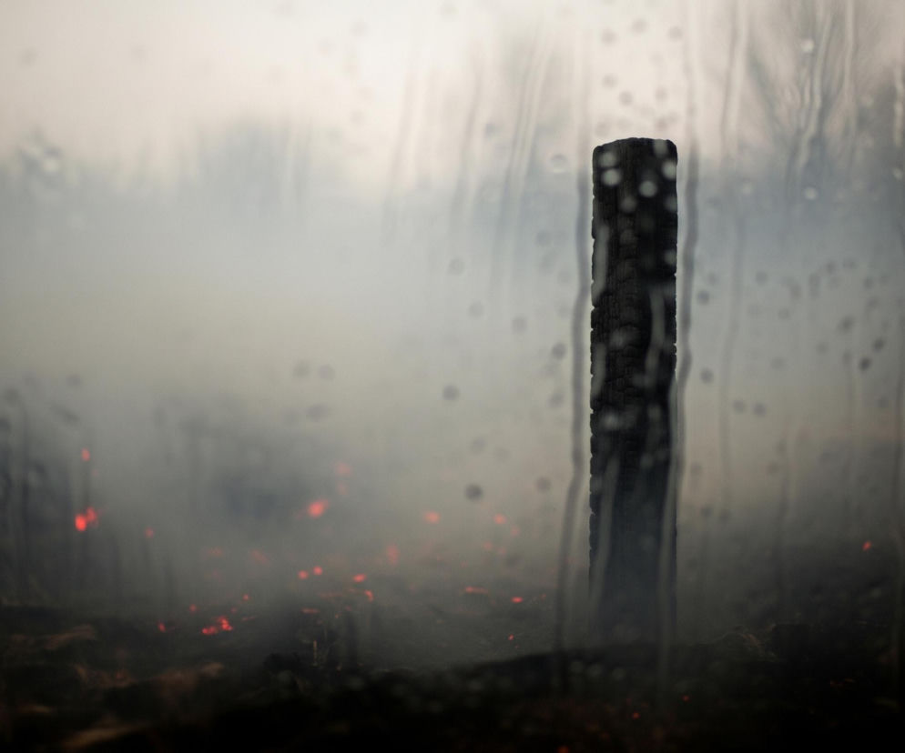 Ciemny, pionowy obiekt, przypominający zwęglony pień drzewa, dominuje w centrum kadru, jego wyraźne kontury są przesłonięte przez liczne krople wody na szybie. Tło za nim jest niewyraźne, jasnoszare u góry, przechodzące w ciemniejszy szary dym, który unosi się z dołu. Na pierwszym planie, w dolnej części obrazu, widoczne są rozżarzone, czerwono-pomarańczowe punkty, rozrzucone nieregularnie po ciemnej, rozmytej powierzchni, sugerującej tlące się szczątki. Całość jest silnie zamglona i rozmyta, jakby oglądana przez zaparowaną lub mokrą szybę, tworząc efekt tajemniczości i dystansu.