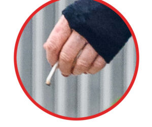 KORA PALI SKRĘTA Z RAMONĄ.