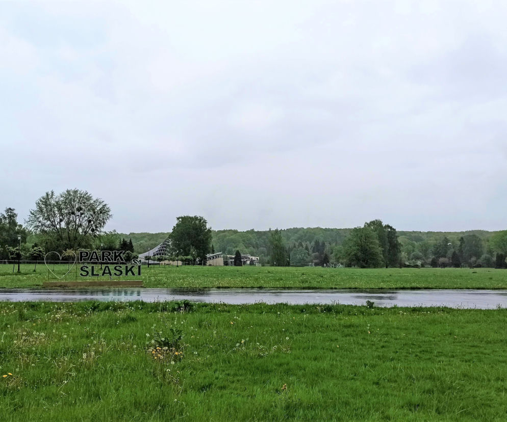 Park Śląski w Chorzowie
