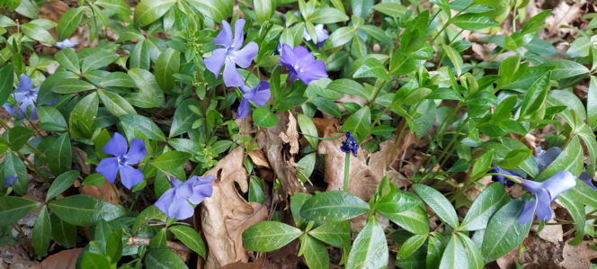 52. Rajd Spotkanie z wiosną