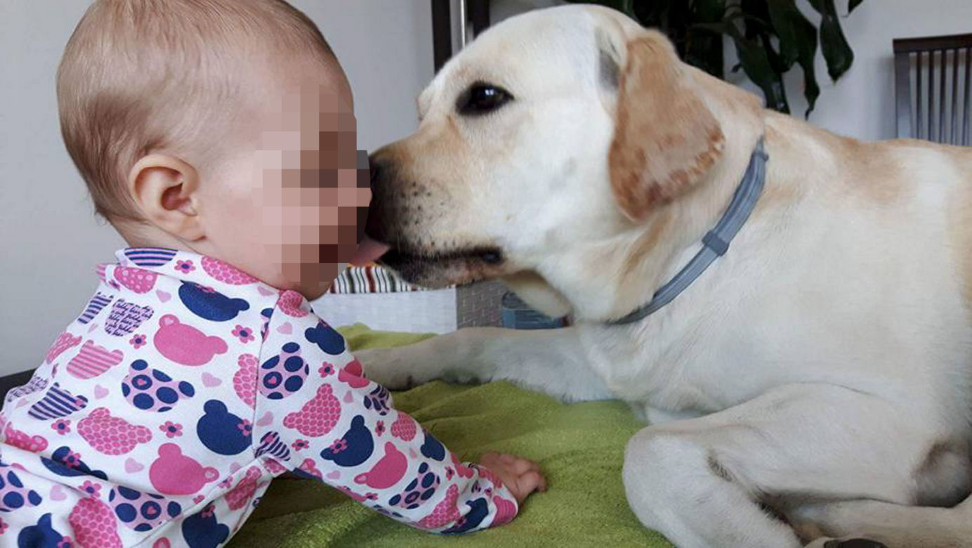 Tragedia w Dziwnowie. Zginęła czterosobowa rodzina i pies