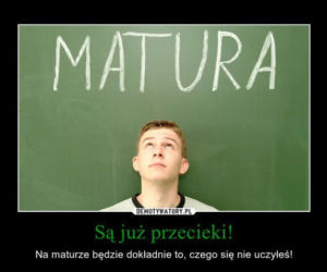 Matura 2022: MEMY o egzaminie dojrzałości