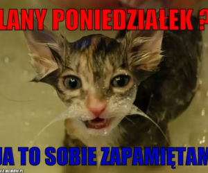 Śmigus-dyngus 2022. Zobacz najlepsze MEMY na LANY PONIEDZIAŁEK! [GALERIA]