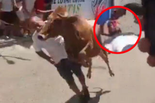 Groźny wypadek na peruwiańskim festynie. Rozpędzony byk staranował uczestnika zabawy