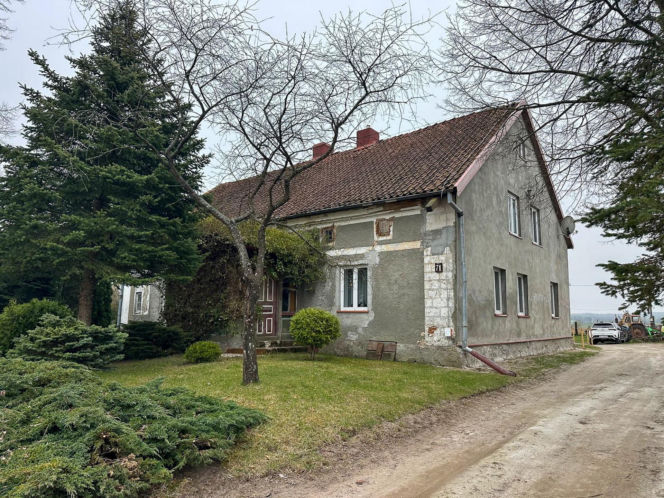 Czy znany "zaklinacz byków" straci swoje ranczo?