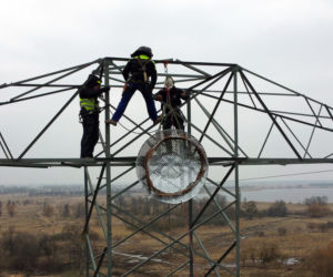 Montaż platformy lęgowej dla rybołowów w Nadleśnictwie Kliniska w okolicach miejscowości Inoujście 