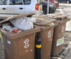 Koniec ery worków na bioodpady? Nowe zasady dla mieszkańców 