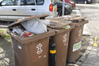 Koniec ery worków na bioodpady? Nowe zasady dla mieszkańców 