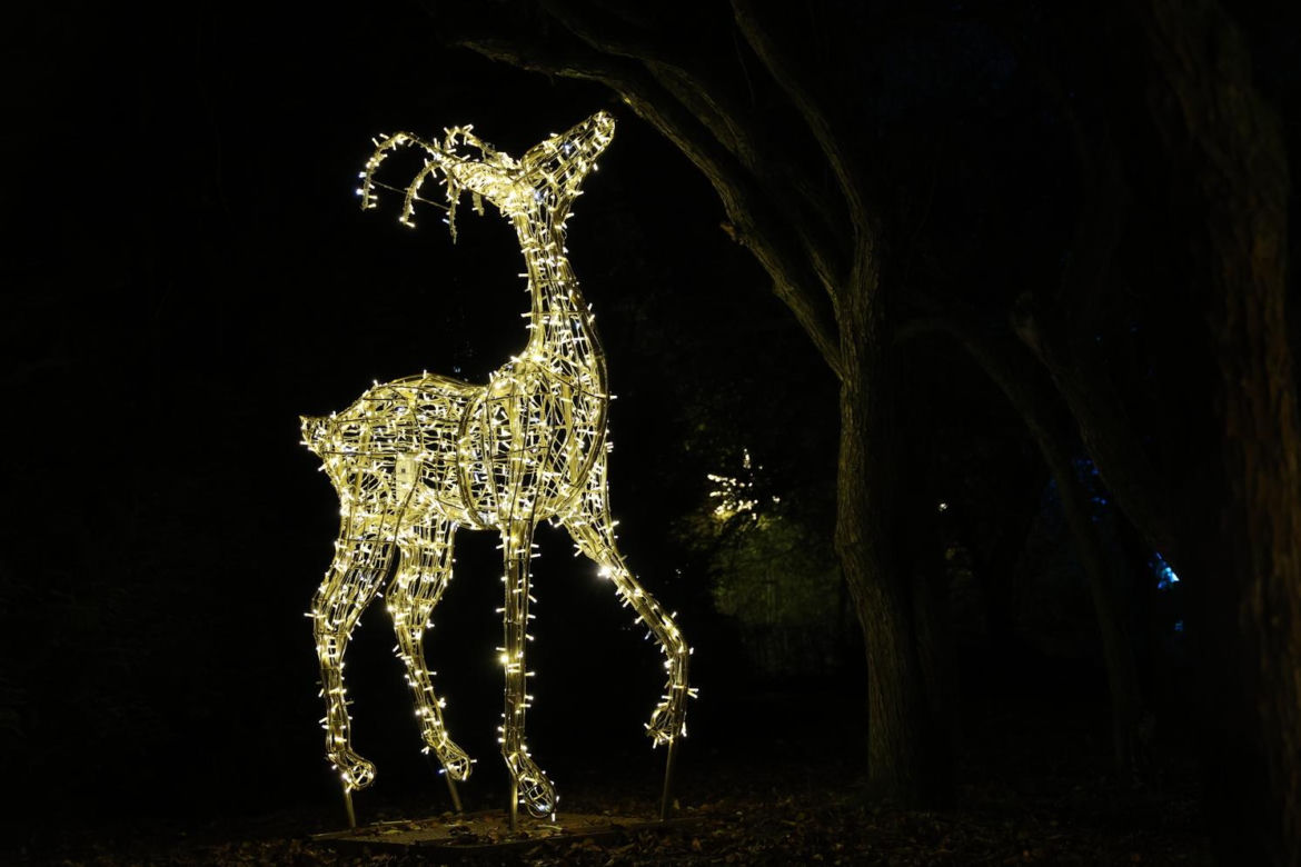Park iluminacji 2023 w Lublinie