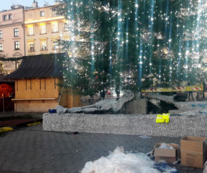 Na krakowskim Rynku pojawiła się już choinka! [GALERIA ZDJĘĆ]