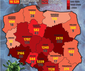 Koronawirus w Polsce. 17.05.2020. Godz. 18