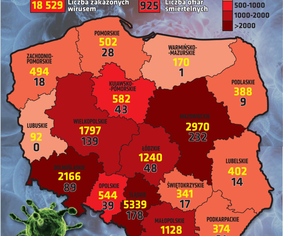Koronawirus w Polsce. 17.05.2020. Godz. 18