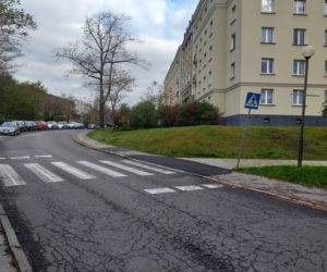 Dzikie parkowanie w katowickiej dzielnicy Koszutka. Mieszkańcy mają dość