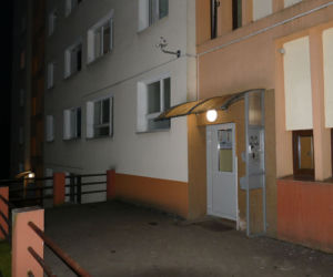 Odór rozkładającego się ciała ukochanej wygonił mordercę z mieszkania