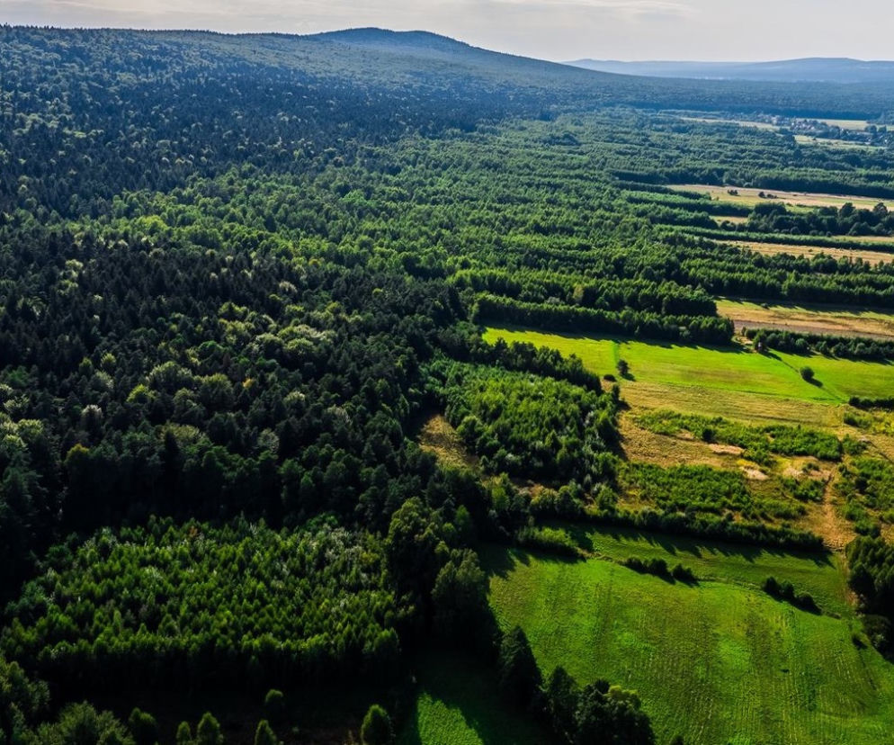 Świętokrzyski Park Narodowy