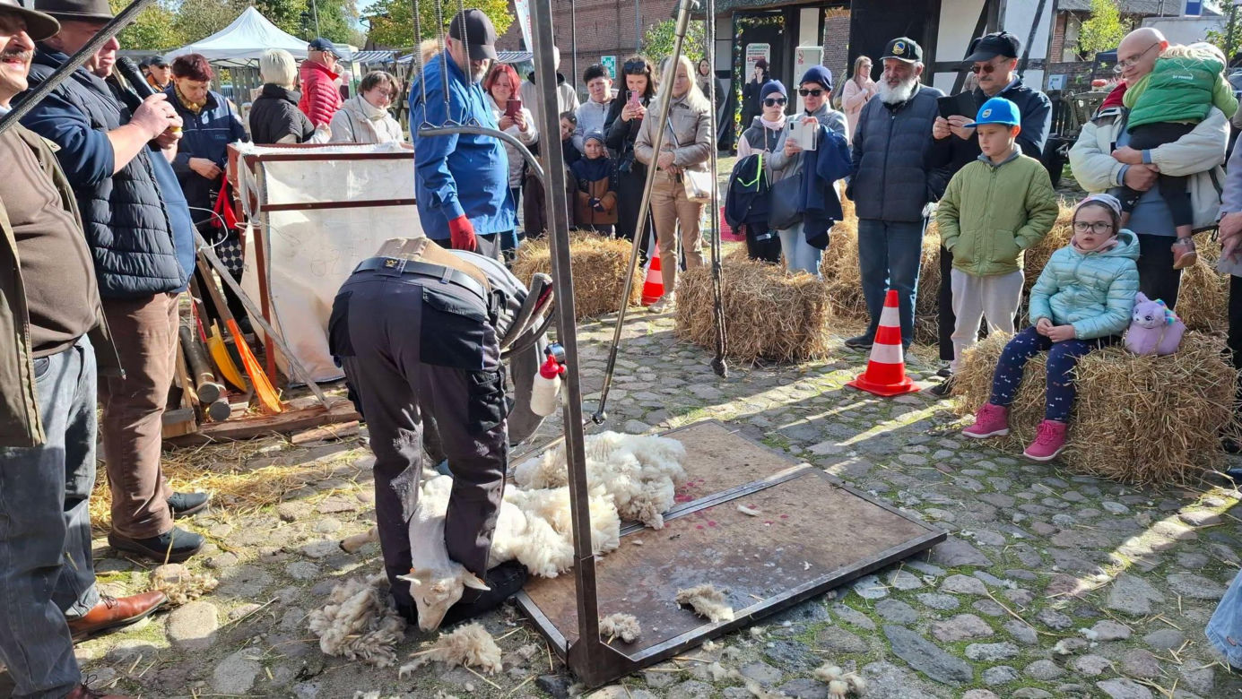 IV Jamneńskie Zakończenie Sezonu Pasterskiego