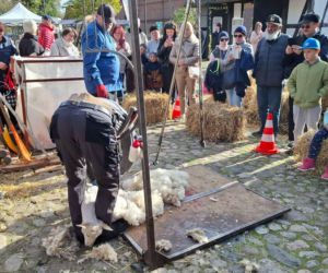 IV Jamneńskie Zakończenie Sezonu Pasterskiego