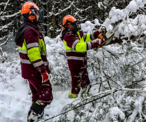 Atak zimy w Elblągu