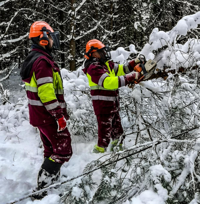 Atak zimy w Elblągu