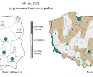 Jaka będzie zima 2020/2021? Czy spadnie śnieg? Prognozy są miażdżące. WAŻNY komunikat [PROGNOZA POGODY, MAPY, MIASTA, WOJEWÓDZTWA]