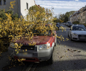 Pogoda: Wiatr powala drzewa i blokuje pociągi. Ofiary śmiertelne i ranni!