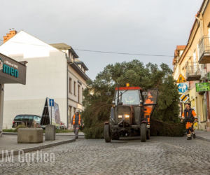 Gorlice: Na rynku już stoi choinka. Jest piękna. MUSISZ ją zobaczyć