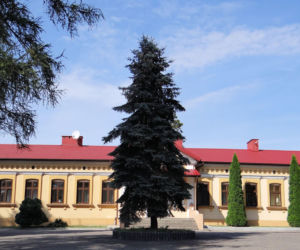 To miasto w województwie łódzkim nazywano „Krakówkiem”. Mieszkał w nim Andrzej Frycz Modrzewski