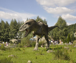 Jura Park w Bałtowie