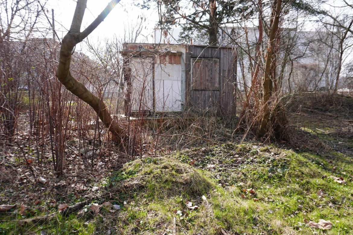 Domek Fiński Ryszarda Kapuścińskiego to ruina - zobacz zdjęcia