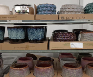 Festiwal Roślin w Enea Arenie