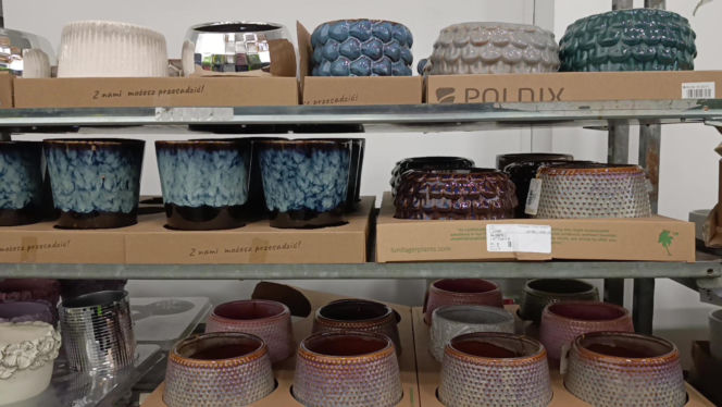 Festiwal Roślin w Enea Arenie