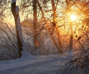 To już koniec mrozów! Dodatnie temperatury na horyzoncie