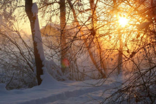 To już koniec mrozów! Dodatnie temperatury na horyzoncie
