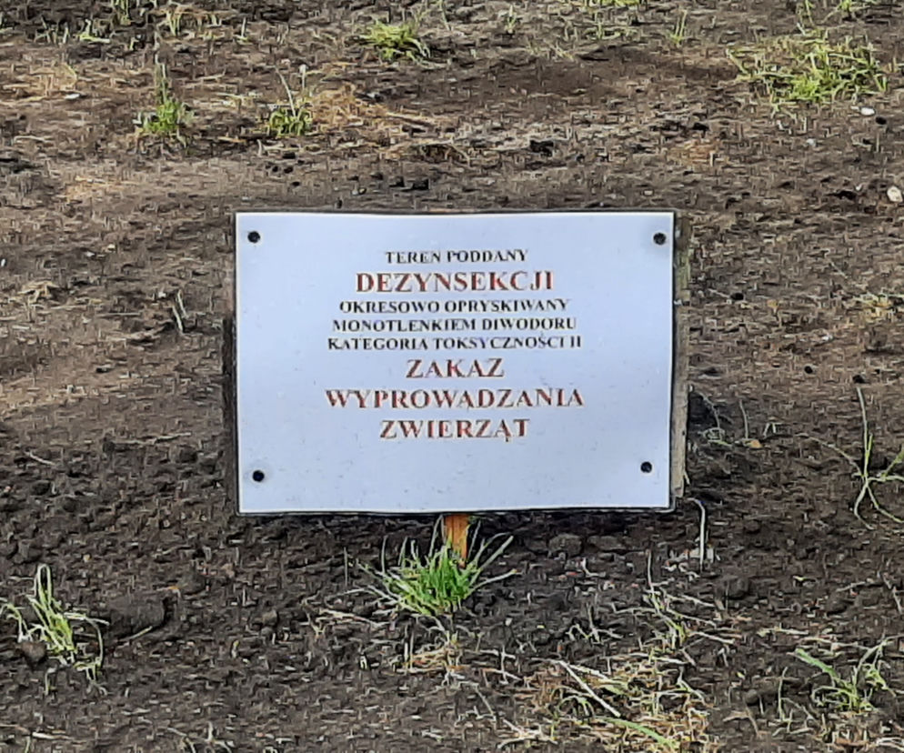Monotlenek diwodoru został wylany na trawniki przy Muezum Narodowym w Poznaniu