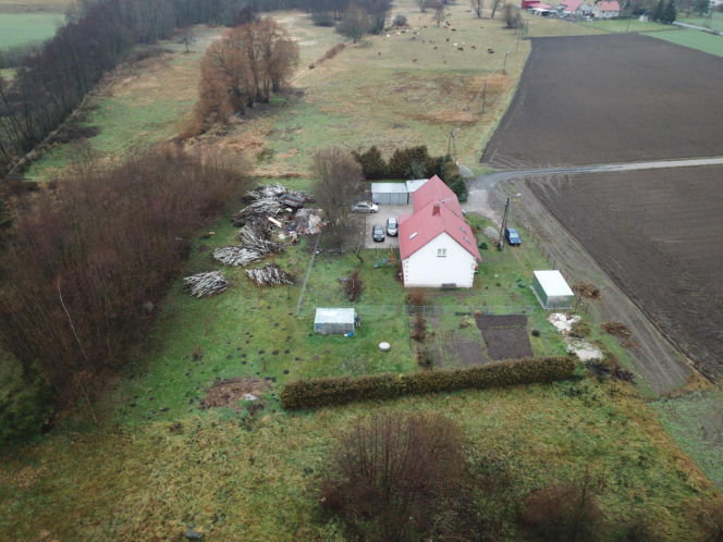 Wyrok dla Błażeja K.