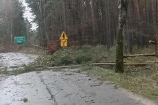 Gwałtowne burze w Polsce. Ponad 260 interwencji straży pożarnej