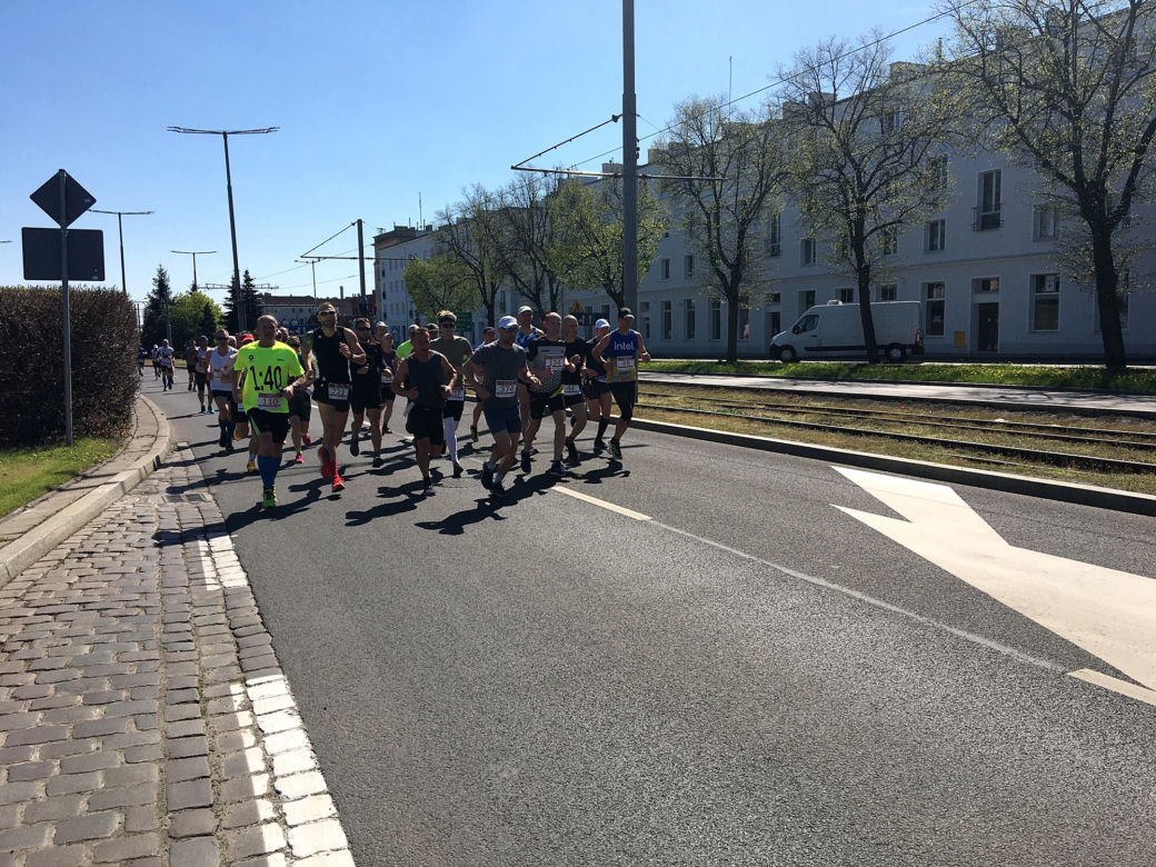 Półmaraton z Grudziądza do Rulewa 2023