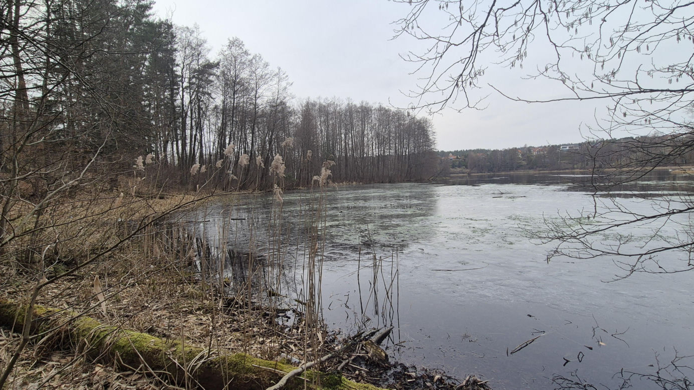 To jedno z najmniejszych jezior w Olsztynie. Prawie nikt o nim nie słyszał, a widoki zachwycają