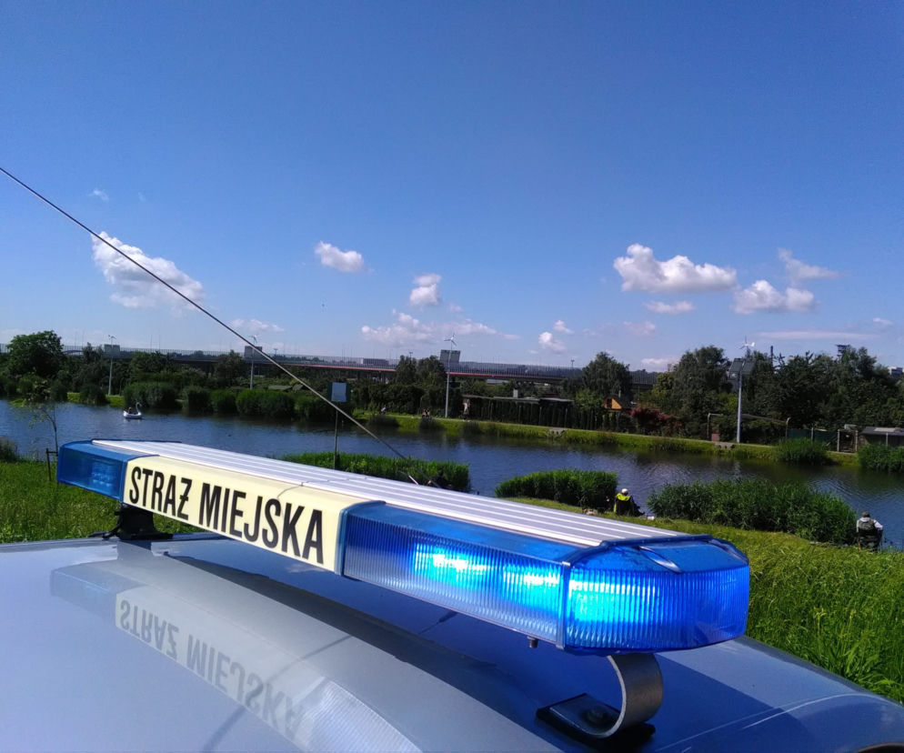 Gliwice: Kąpali się w stawie na dziko. Gdy zobaczyli strażników to zaczęli uciekać