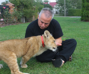 Leszek Bielenda i jego lew