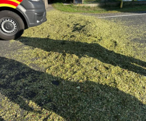Zablokowana DK12 Leszno-Gostyń. Bus zderzył się z ciągnikiem rolniczym