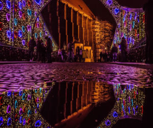 Świąteczne iluminacje we Wrocławiu