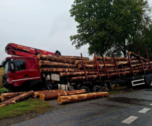 Śmiertelny wypadek pod Białą Podlaską. Ciężarówka z drewnem w rowie, kierowca osobówki nie żyje