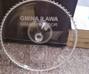 Gmina Iława na iławskim finale WOŚP. Zobacz za ile tym razem zlicytowano tort!