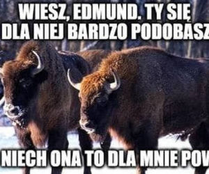 Memy na Dzień Kobiet. 8 marca na Podlasiu