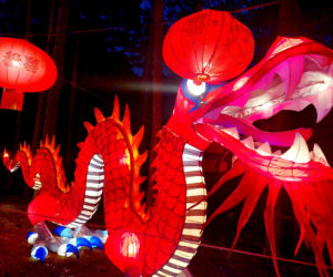 Dzikie stworzenia opanowały Myślęcinek. Chińskie lampiony robią wrażenie! Lumina Park Bydgoszcz świeci w innej niż dotąd odsłonie [ZDJĘCIA]