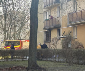 Pożar mieszkania na parterze. Strażacy z ognia wynieśli przerażonego kota