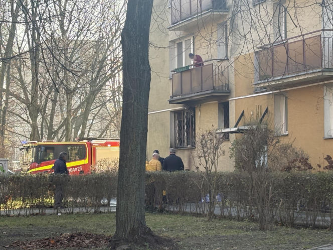 Pożar mieszkania na parterze. Strażacy z ognia wynieśli przerażonego kota