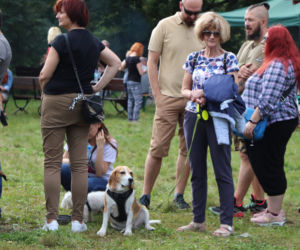 VIII Piknik Przyjaciół Schroniska w Toruniu
